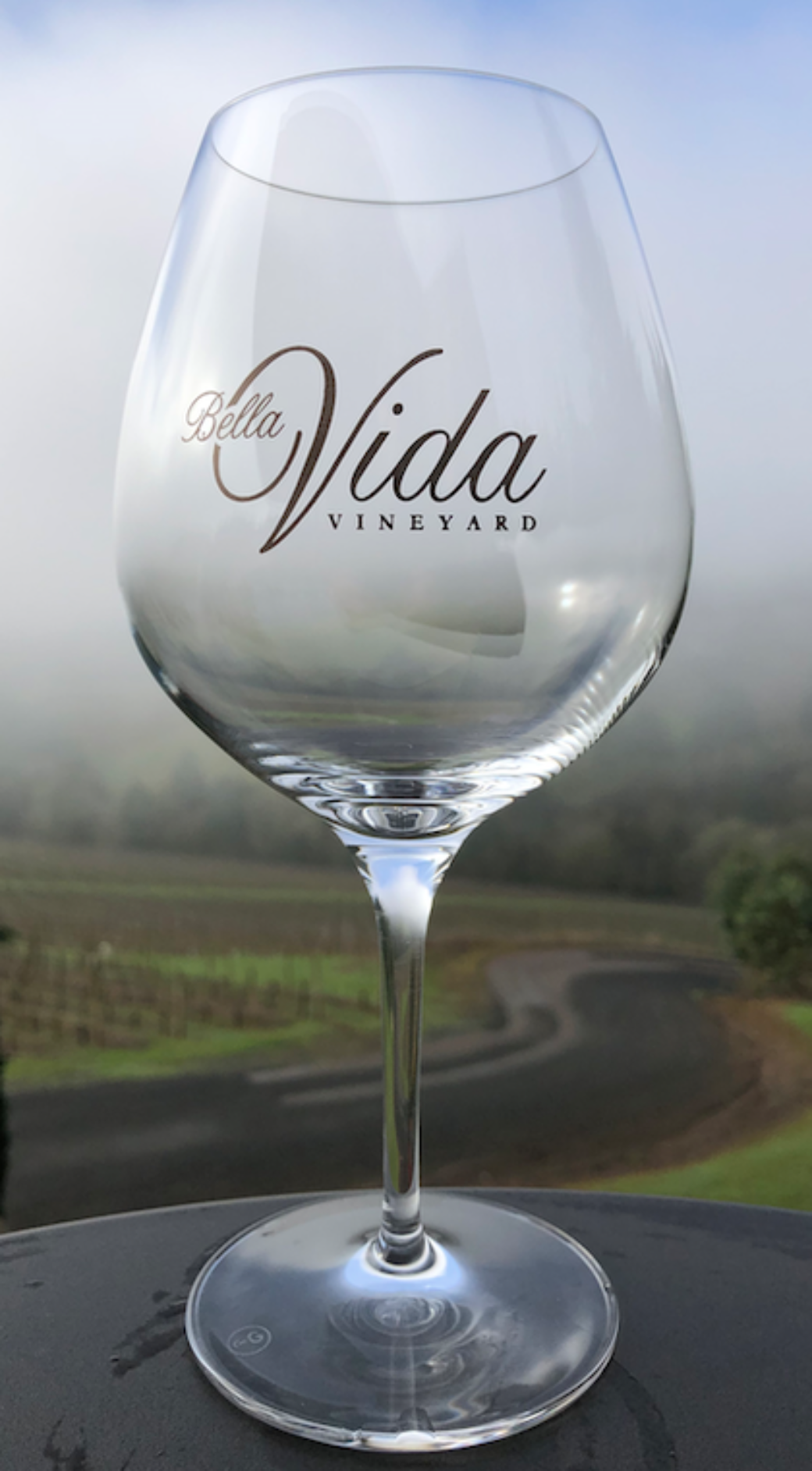 Burgundy Pinot Glass